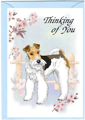 Wire fox terrier dog - wire,
