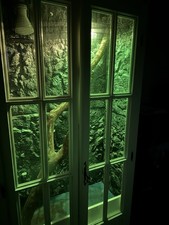 Bespoke Reptile Vivarium