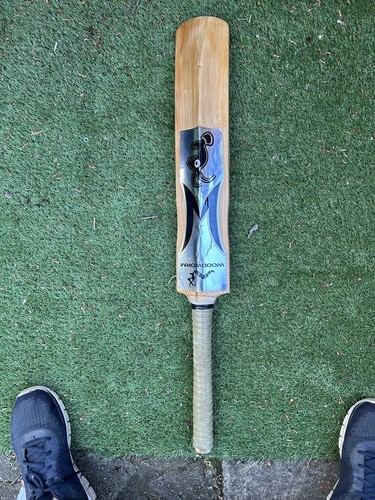 Woodworm gold satellite - woodworm,