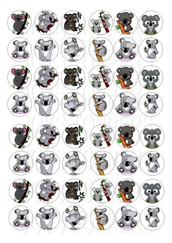 Mini koala bears cupcake - mini,