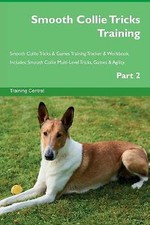Smooth Collie Tricks Training
