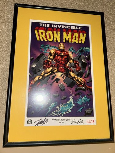 Marvel hero invincible iron - hero,