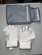 GM Gunn &Moore AION  300