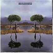 Bruce dickinson skunkworks - bruce,