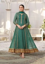 Asian Pakistani Indian Wedding/Party/Formal/Luxury Dress