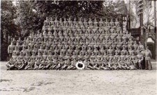 ✚0731✚ German Field