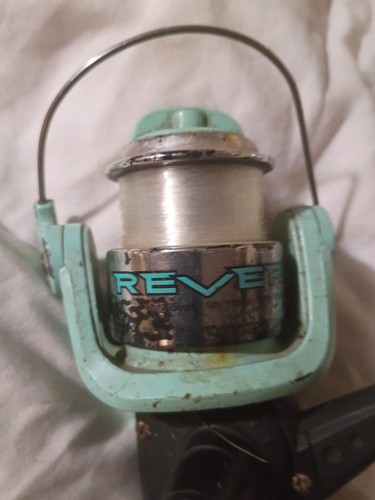 Shakespeare reverb spinning - shakespeare,