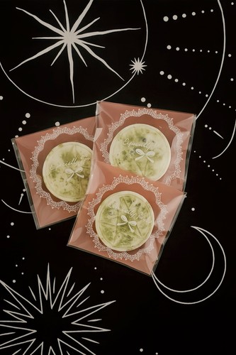 Protection spell wax melt for - protection,