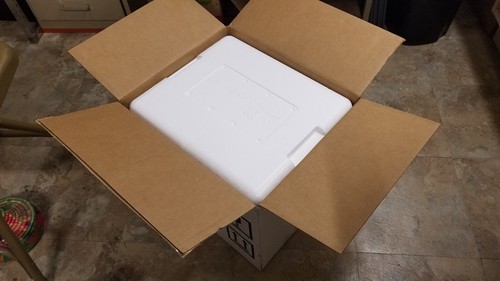 Insulated styrofoam cooler - styrofoam,