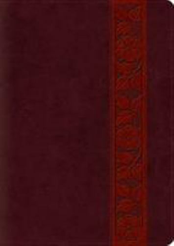 Esv study bible large - esv,