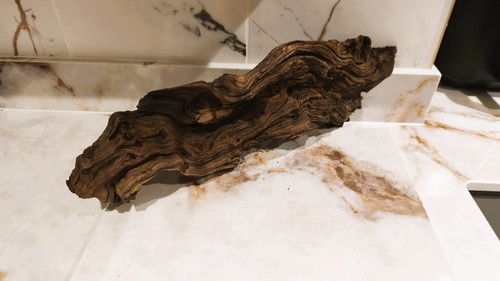 Medium large mopani - mopani, wood