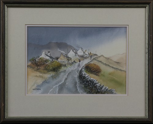 Watercolour david bellamy - watercolour,