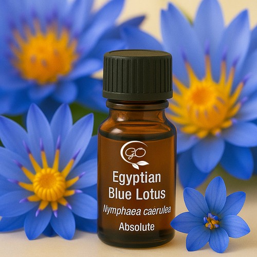 Egyptian blue lotus pure - blue,