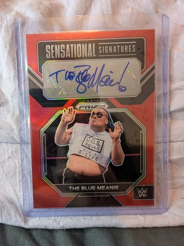 2023 panini prizm wwe - prizm,