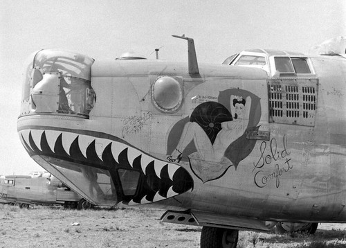 Usaaf b24 bomber nose art - usaaf,