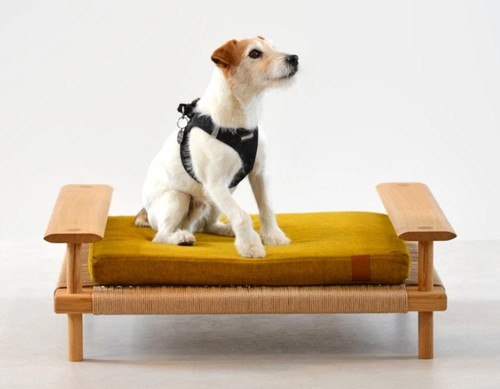Luxury oak dog - dog, bed