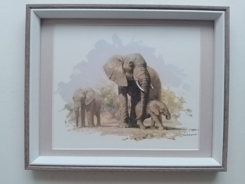David shepherd print elephant - david,