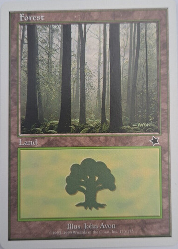 Forest starter 1999 - forest,