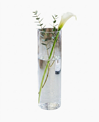 Clear glass cylinder flower - glass,