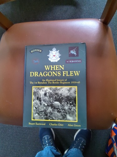 When dragons flew history of - dragons,