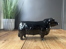 RARE BESWICK ABERDEEN ANGUS