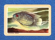 WOOLWORTHS Swap Playing Card