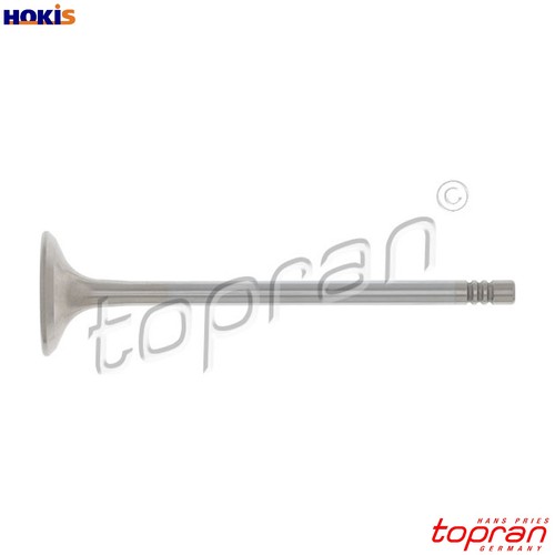 Exhaust valve 205 - 205, 579