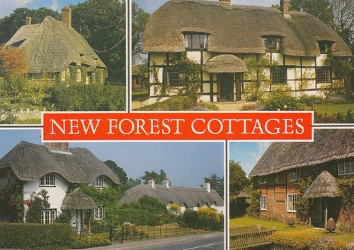 Postcard new forest cottages - forest, [