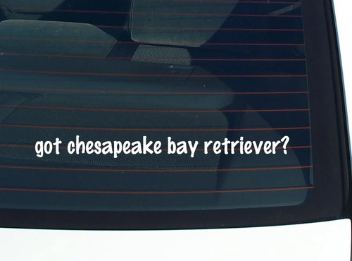 Got chesapeake bay - got,