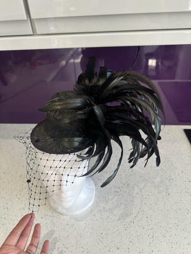 Black iridescent feather - black,