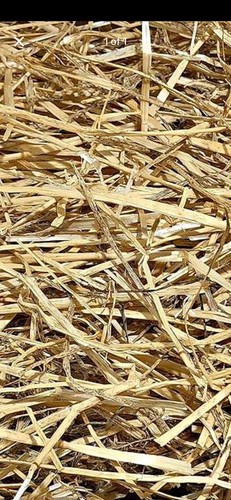 Natural barley straw animal - barley,