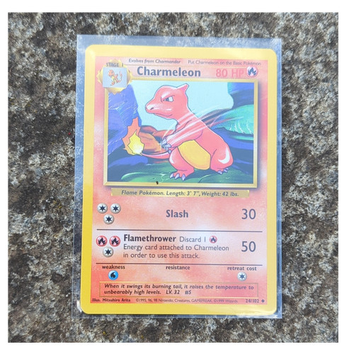 1995 chameleon pokémon near - 1995,