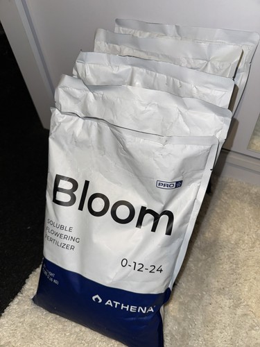 Athena pro line powder - pro, bloom