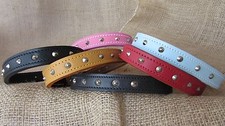 Leather dog collars, studded