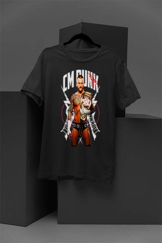 Punk wwe best in - |, the