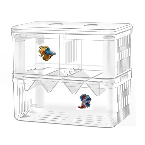 Fish breeding isolation box - isolation,