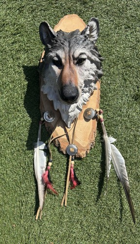 Mounted resin wolf head - mounted,