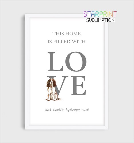 English springer spaniel this - english, "this