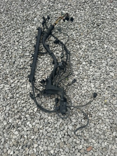 Genuine bmw 330 e46 - m54, pre