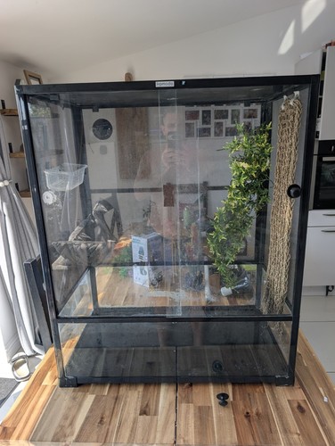 Komodo hybrid vivarium - vivarium, reptile