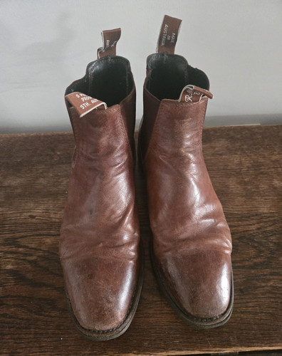 Williams men s - williams, men’s