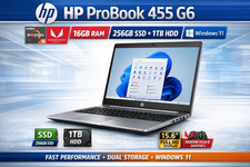 HP ProBook 455 G6 Laptop | AMD