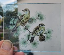 Stained Glass - Thrush piece Kiln fired 9 cm x 8 cm birds bird