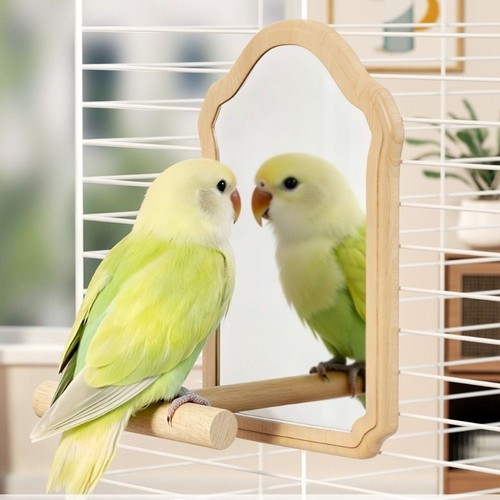 Wooden bird mirror perch - bird,