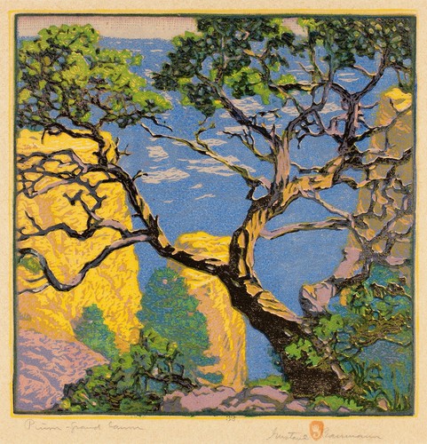 Gustave baumann pinion grand - :,