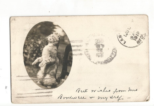 Rppc northampton massachusetts - rppc,