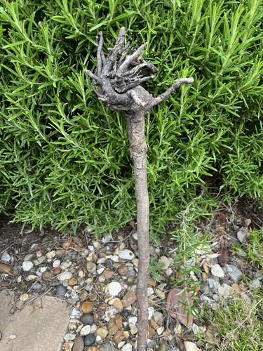 53cm long driftwood piece - driftwood, sea
