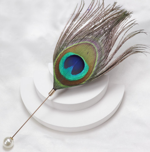 Real peacock feather - peacock,