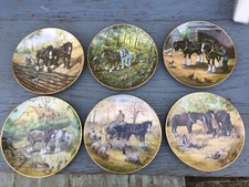 Magnificent Shires Authentic