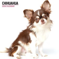 Chihuahua 2026 Modern Calendar
